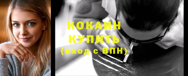 индика Абинск