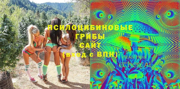 индика Абинск