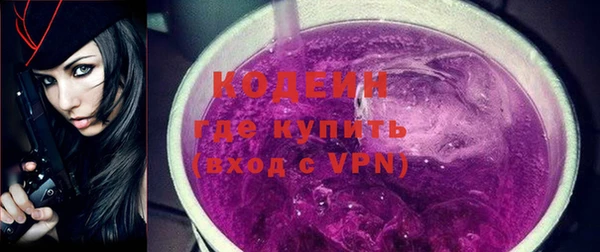 индика Абинск