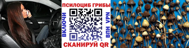 Псилоцибиновые грибы прущие грибы  купить   Староминская 